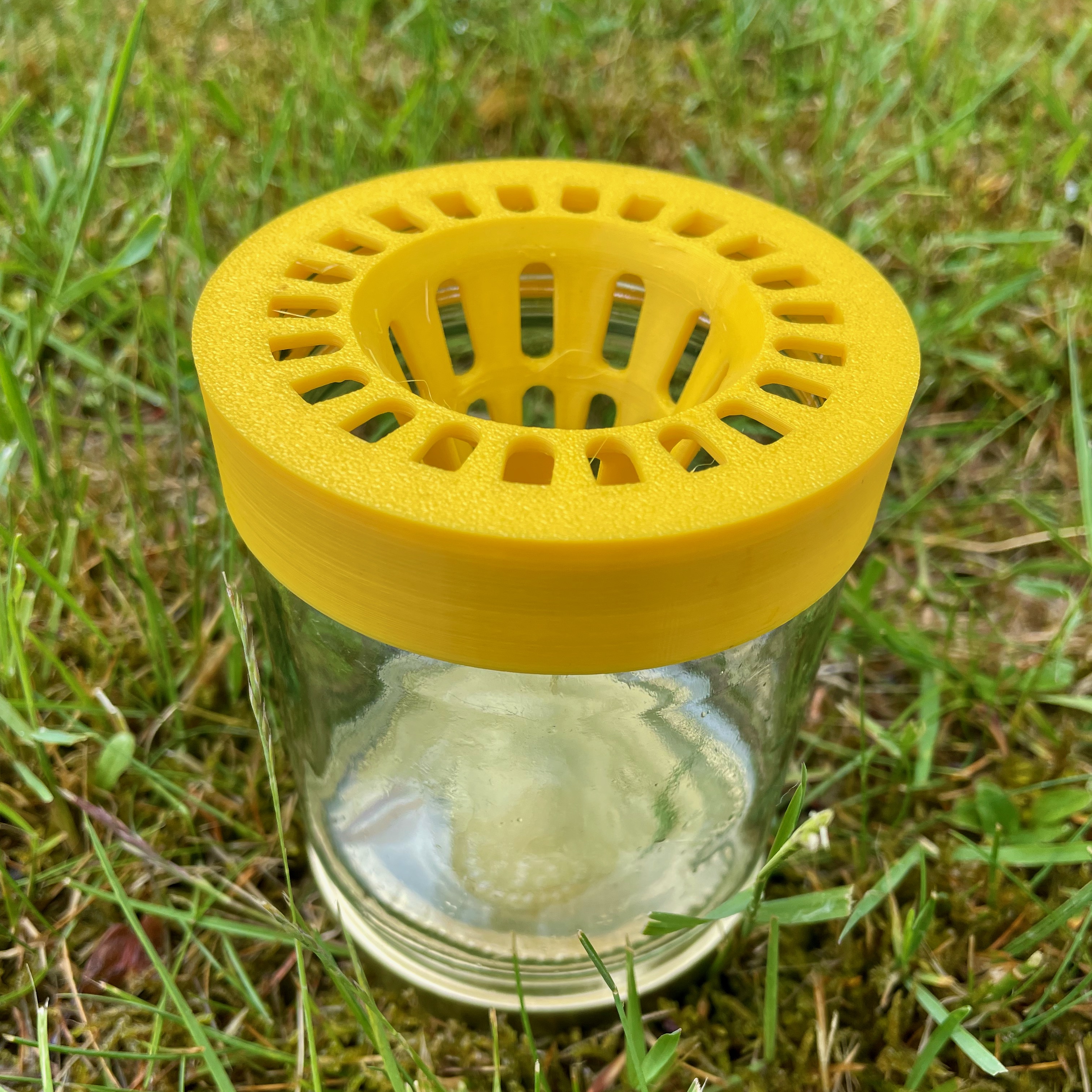 WESPENDSCHUTZ