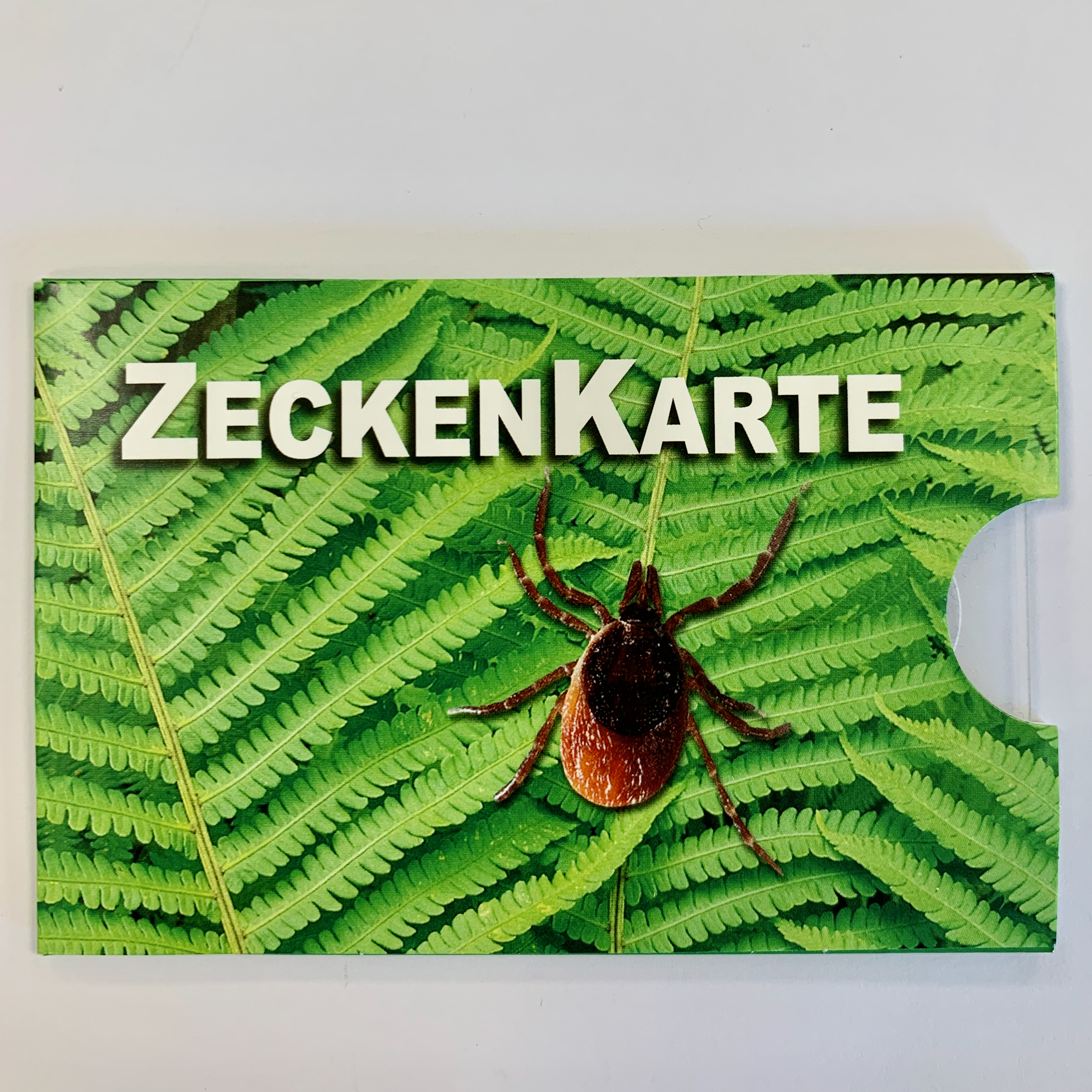 Zeckenkarte
