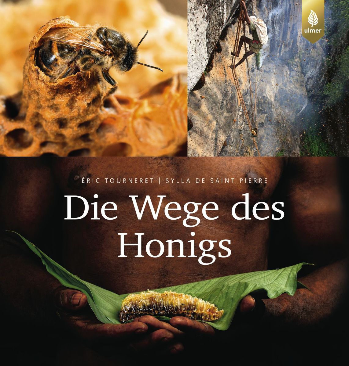 Die Wege des Honig