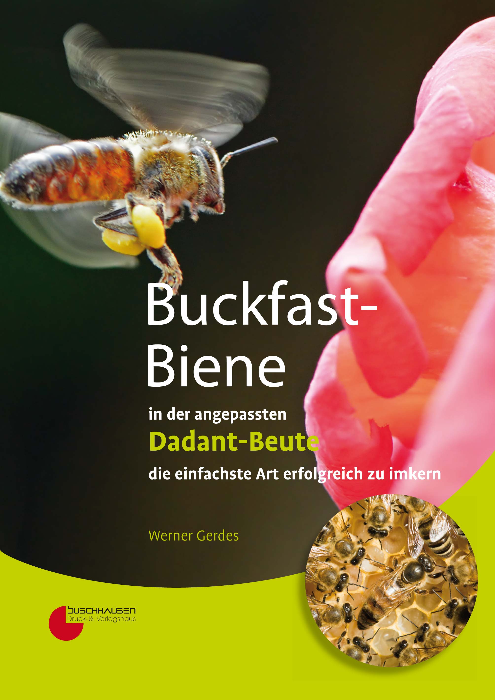 Werner Gerdes, Buckfast-Biene in der angepassten Dadant-Beute