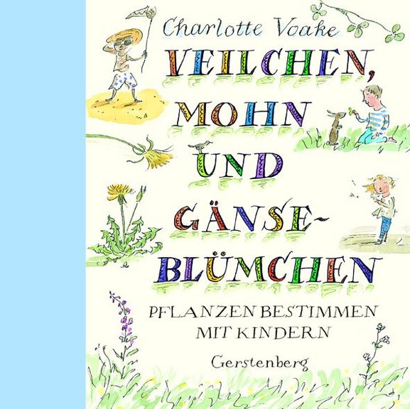 Veilchen, Mohn und Gänseblümchen
