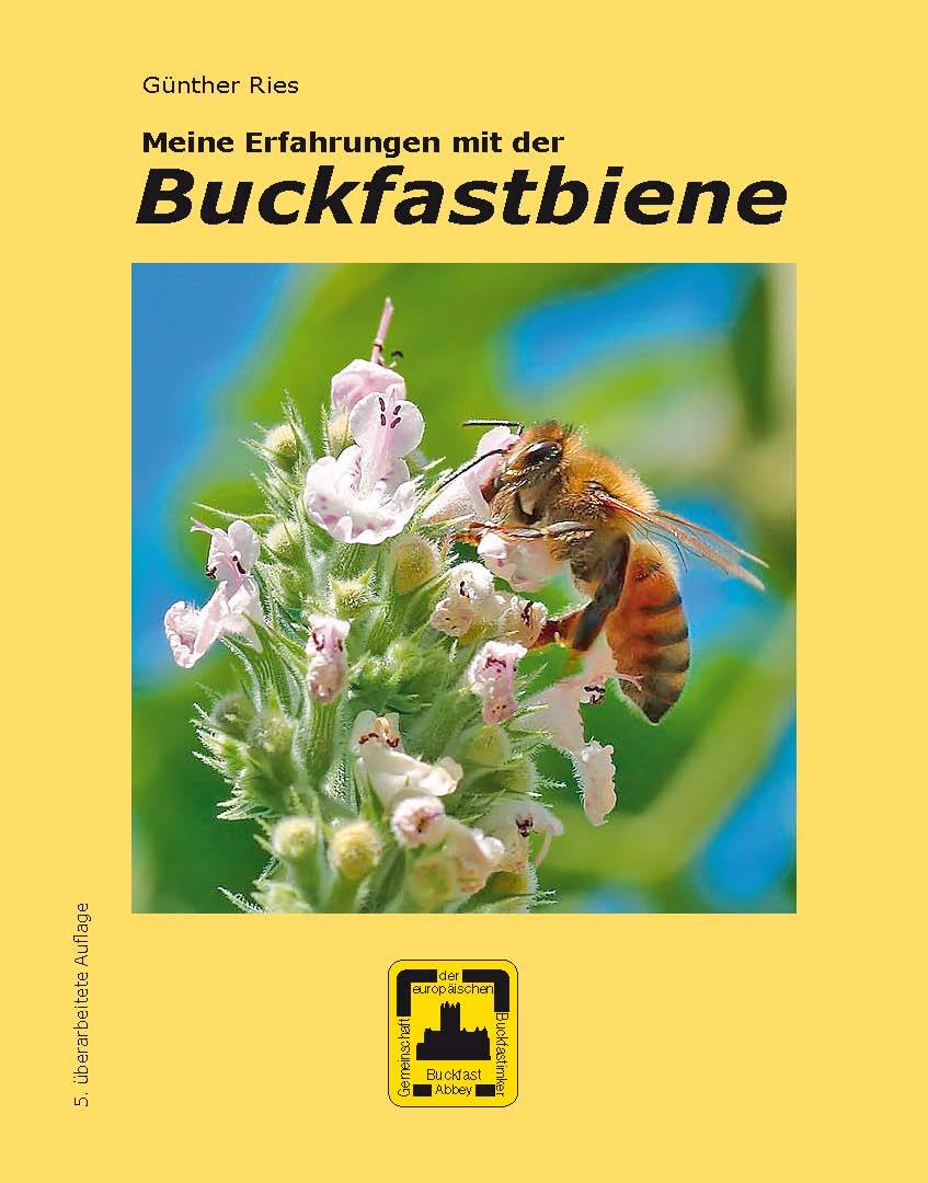 Günter Ries, Meine Erfahrungen mit der Buckfastbiene