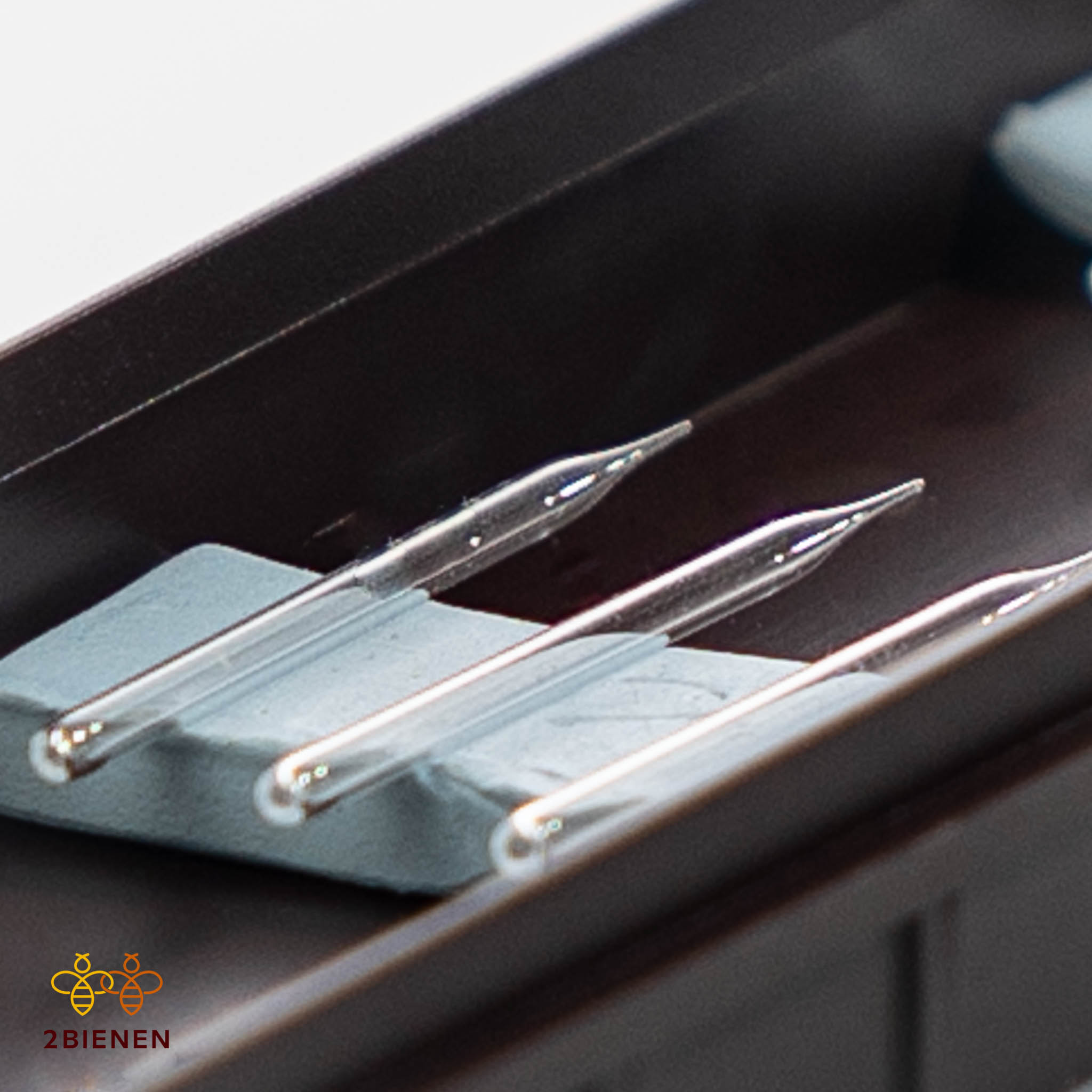 Glasspitze (Kanüle)