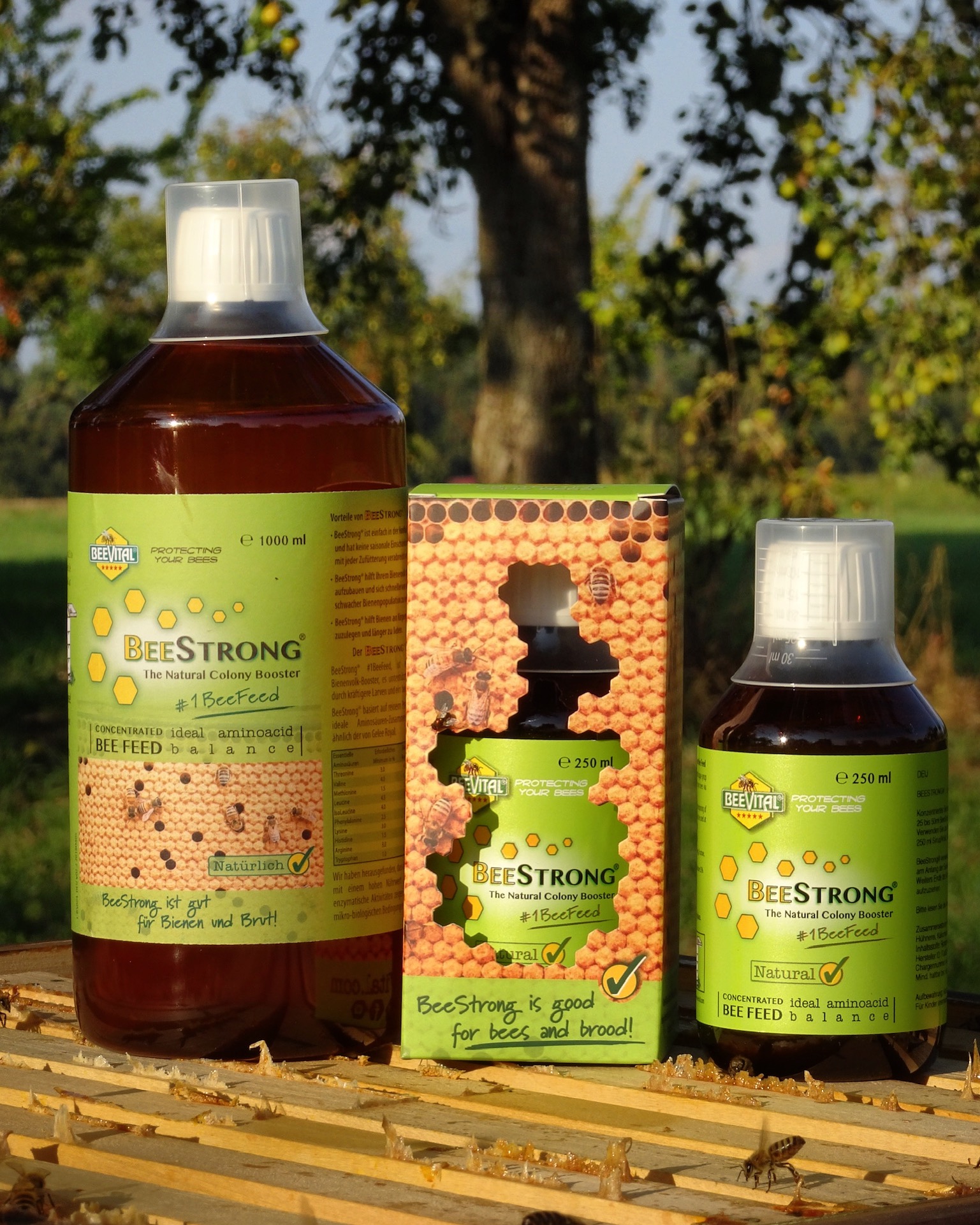 Bee Strong Flasche 100 ml  Restbestände MHD 02/2023